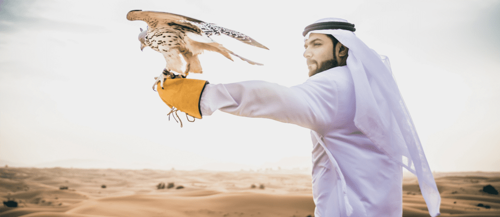 Falconry experience in UAE