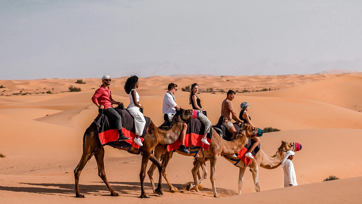 Camel Trekking in the UAE