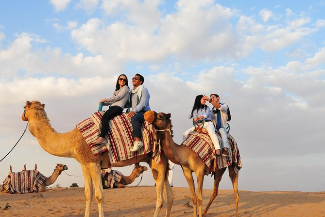 Camel Trekking in the UAE