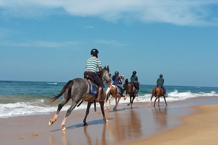 Horse Riding on Beach