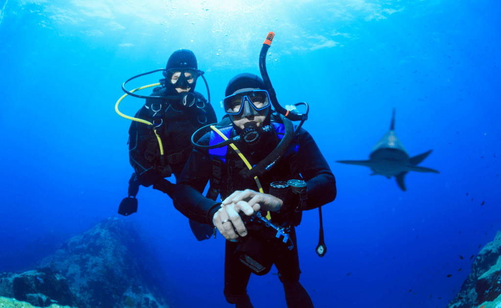 Scuba Diving With Sharks