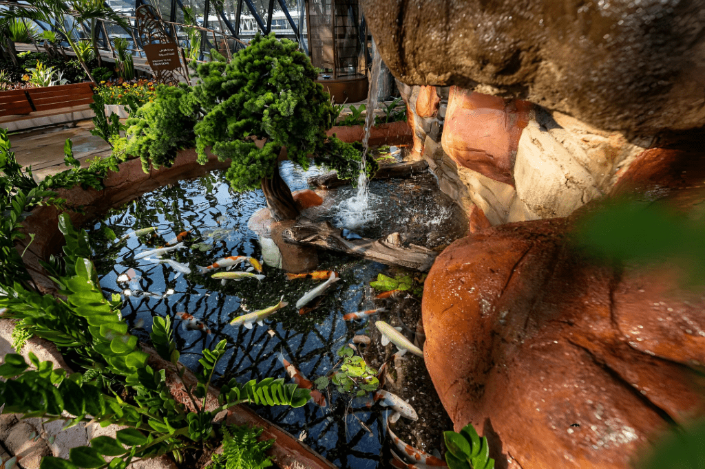 Butterfly Gardens Abu Dhabi