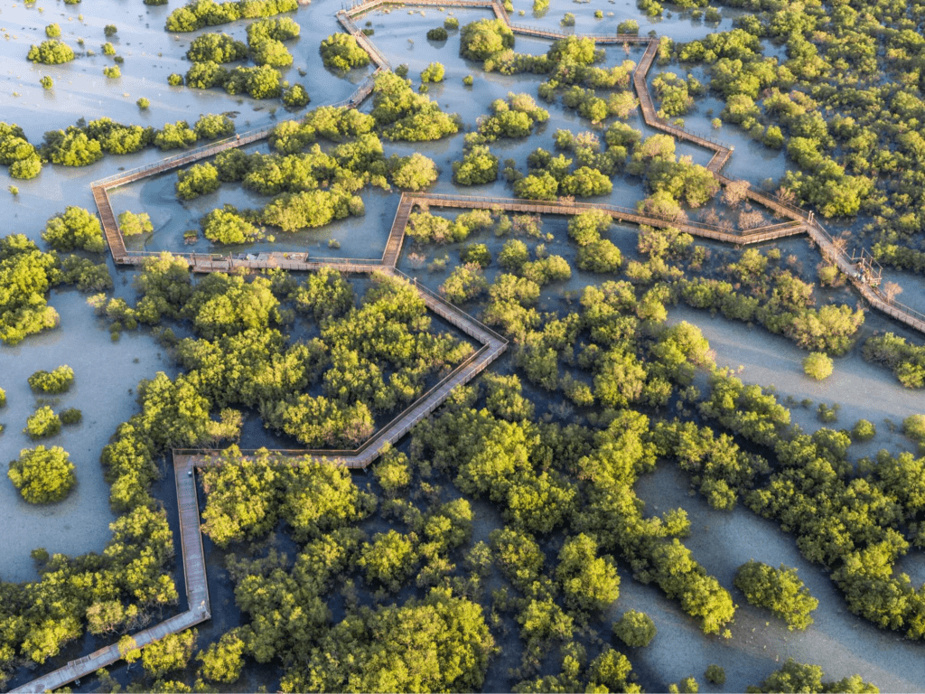 Jubail Mangrove Park