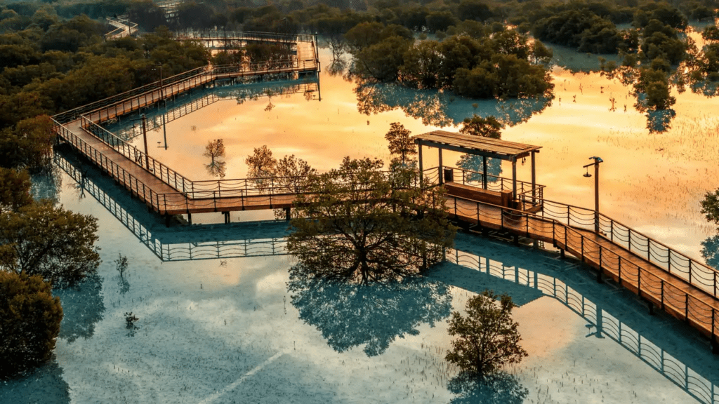 Jubail Mangrove Park