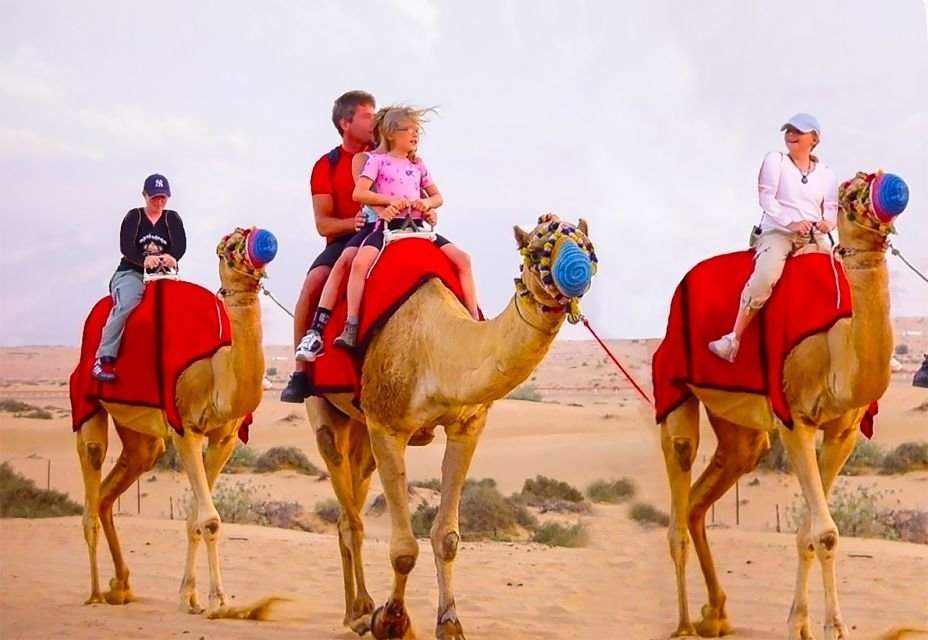 Camel Rides Dubai