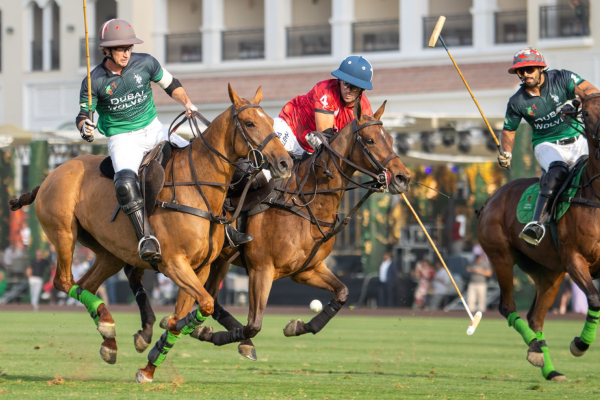 Gold Cup Dubai Polo