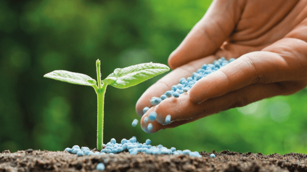 Khalifa University soil fertility research