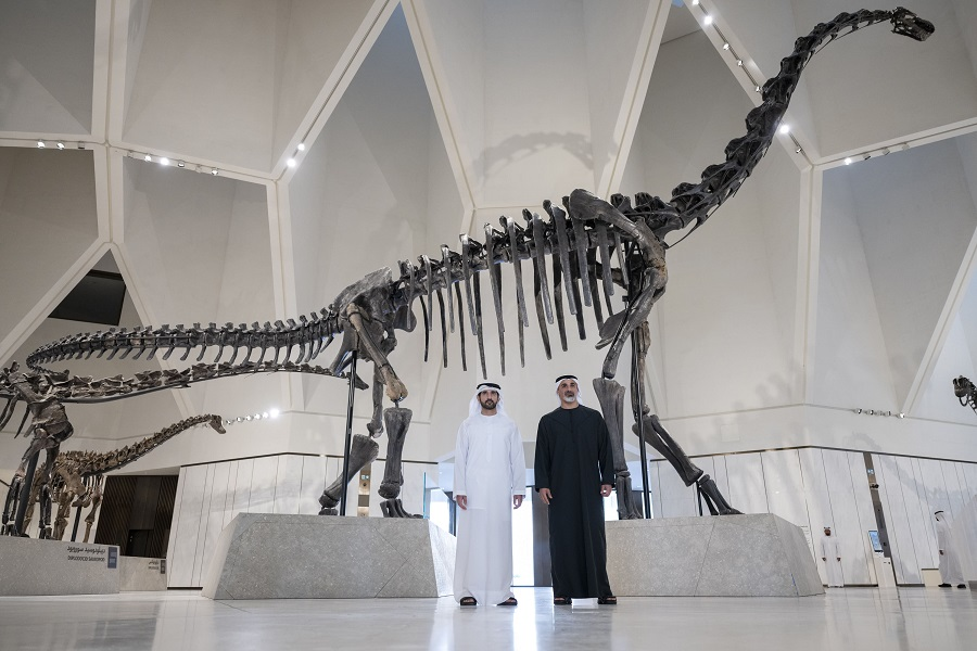 Museum exhibitions Saadiyat Island