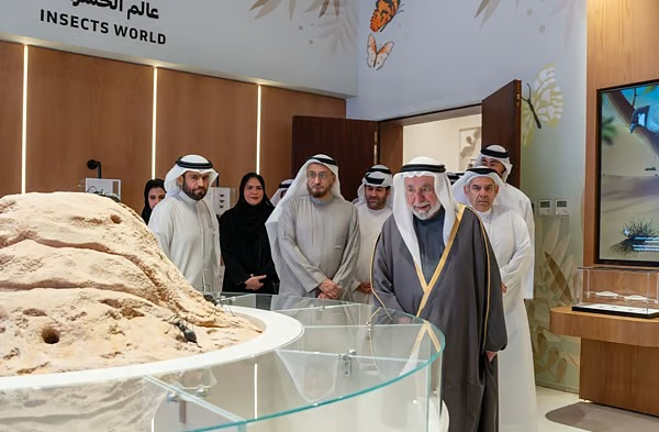 Al Dhaid Wildlife Museum