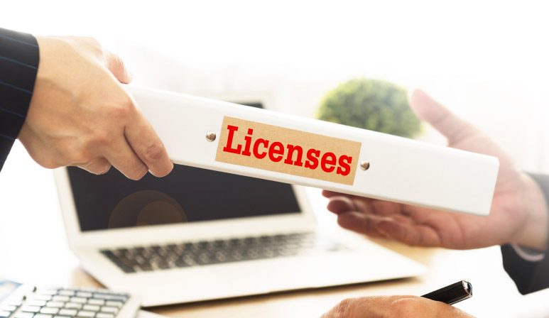 RAK Business License Types