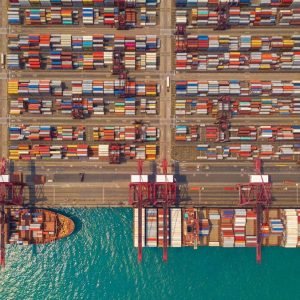 Jebel Ali Port breakbulk cargo