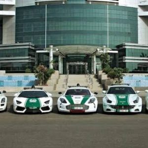 Dubai Police