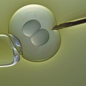 M42 integrated care network