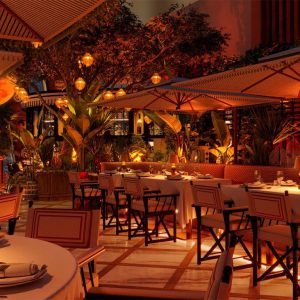 Lion in the Sun Dubai Lion in the Sun Dubai