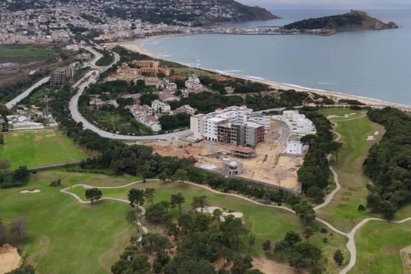 Mohamed Ahmed Fouad Amin