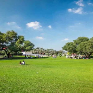Dubai Creek Park picnic