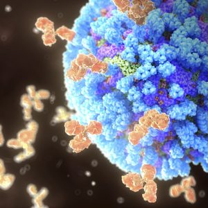 Universal Bird Flu Vaccine Universal Bird Flu Vaccine