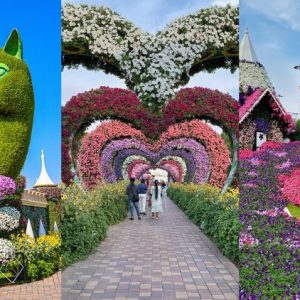 Miracle Garden