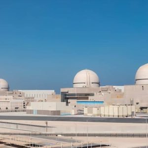 lead fuel assemblies Barakah