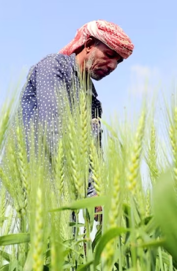 Local Farmers