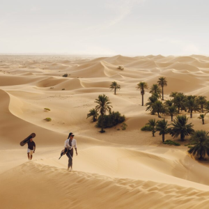 Desert Tour News Abu Dhabi