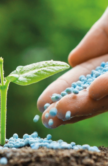 Khalifa University soil fertility research