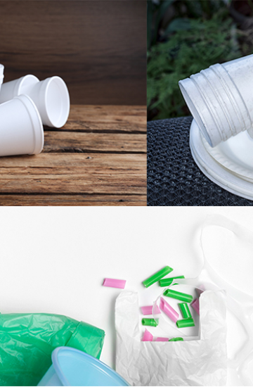 PLA alternative for single-use products