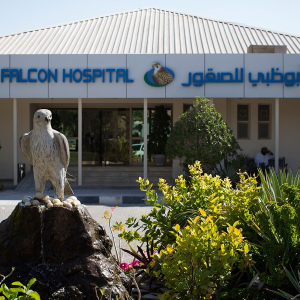 Falcon Hospital Abu Dhabi