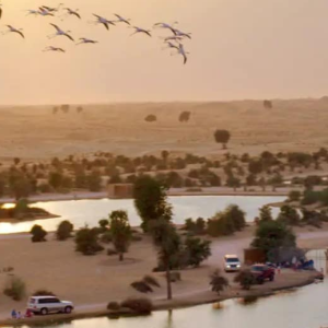 Al Qudra Lake