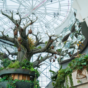 Indoor places during summer Dubai