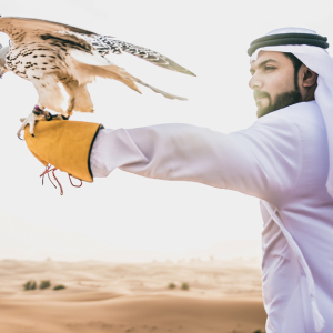 Falconry experience in UAE