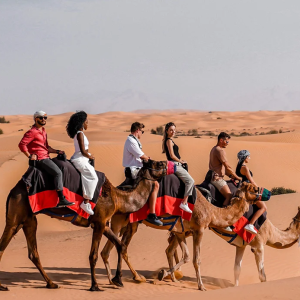 Camel Trekking in the UAE