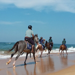 Horse Riding on Beach