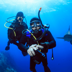 Scuba Diving With Sharks