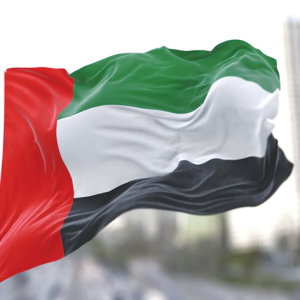 UAE National Identity Committee
