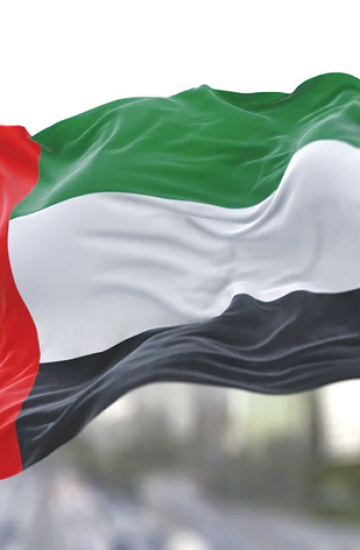 UAE National Identity Committee