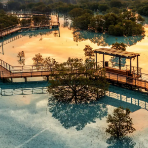 Jubail Mangrove Park