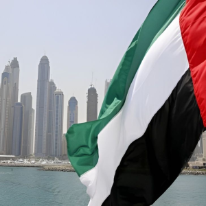 UN human rights programs