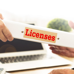 RAK Business License Types