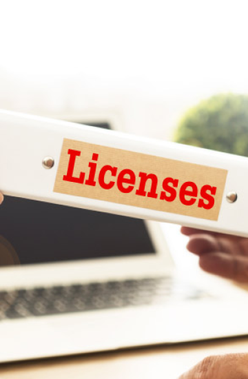 RAK Business License Types
